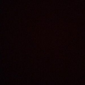 Meet your Posher, Beatriz